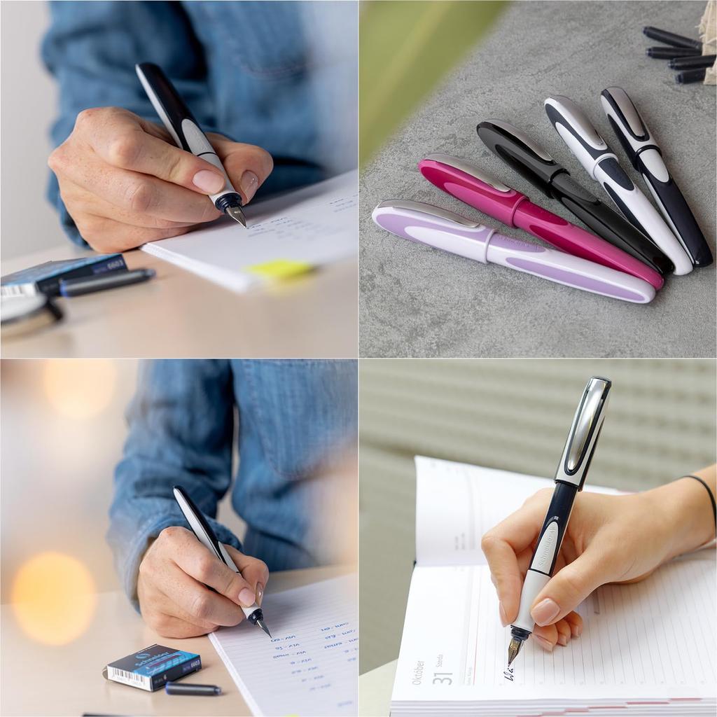 Schneider Ray M Fountain Medium Black RYFP168249M Pen, Nib, Ink, White/Gray,