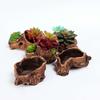 Artistic Cement Flowerpots with Tree Root Designs for Creative Office Home Decoration Balcony Garden Spaces Desk Display