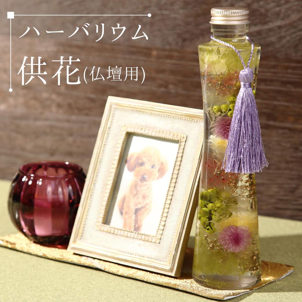 [Felinus] Herbarium, Offering, Gift, Express Your Feelings, Incense Set with Noshi, Buddhist Flowers, Sympathy, Pet Buddhist Altar, Agarwood (Nippon