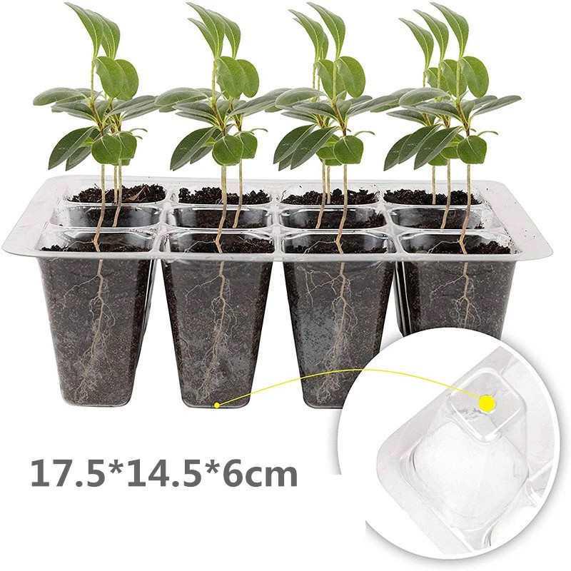 Thickened Seedling Tray with Transparent Lid & Rotating Switch - 6/12 Holes for Heat & Moisture Retention