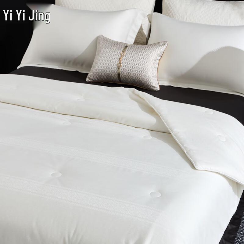 IYIAI Annie Series Mulberry Silk Blend Spring Autumn Quilt