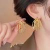 Golden Fireworks~ Light Luxury High-End Long Fringed Stud Earrings Golden Personality Simple Temperament Earrings Versatile Design