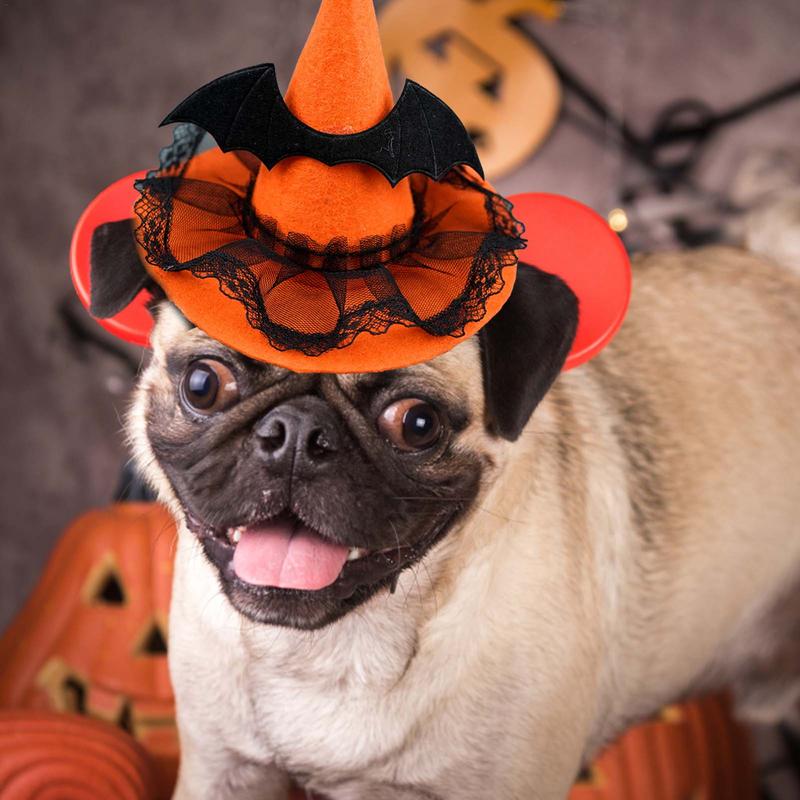 Halloween Hunde Hexenhut Lustiges Hexenkostüm Party Kopfschmuck Haustier Feiertag Cosplay Kopfbedeckung Halloween Kostümparty Kostüm