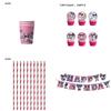 New Kuromi Party Supplies Set With Decorative Balloons And Tableware