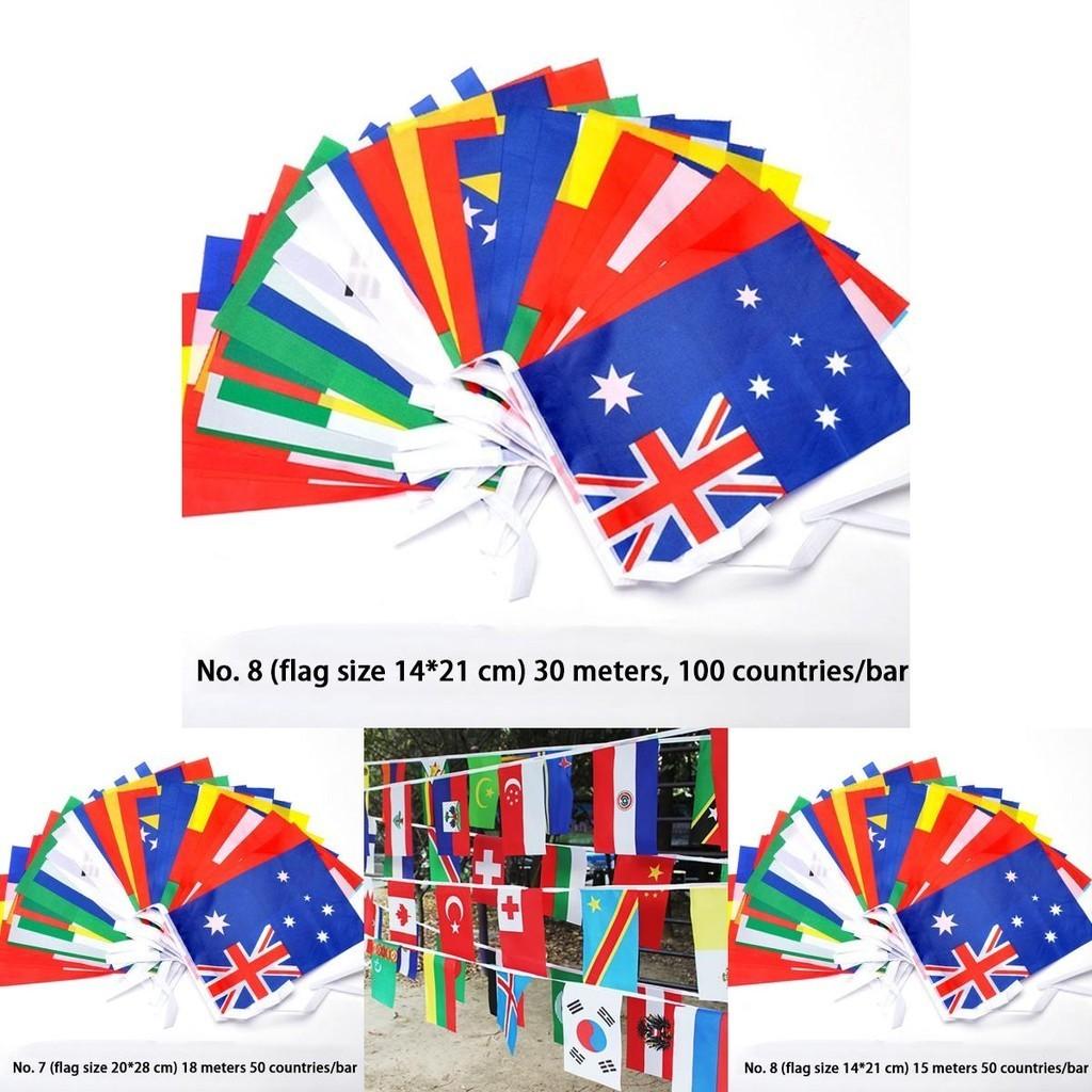Multi-cultural Party Hanging Decor 50-100pcs Flags Of Different Assorted Countries