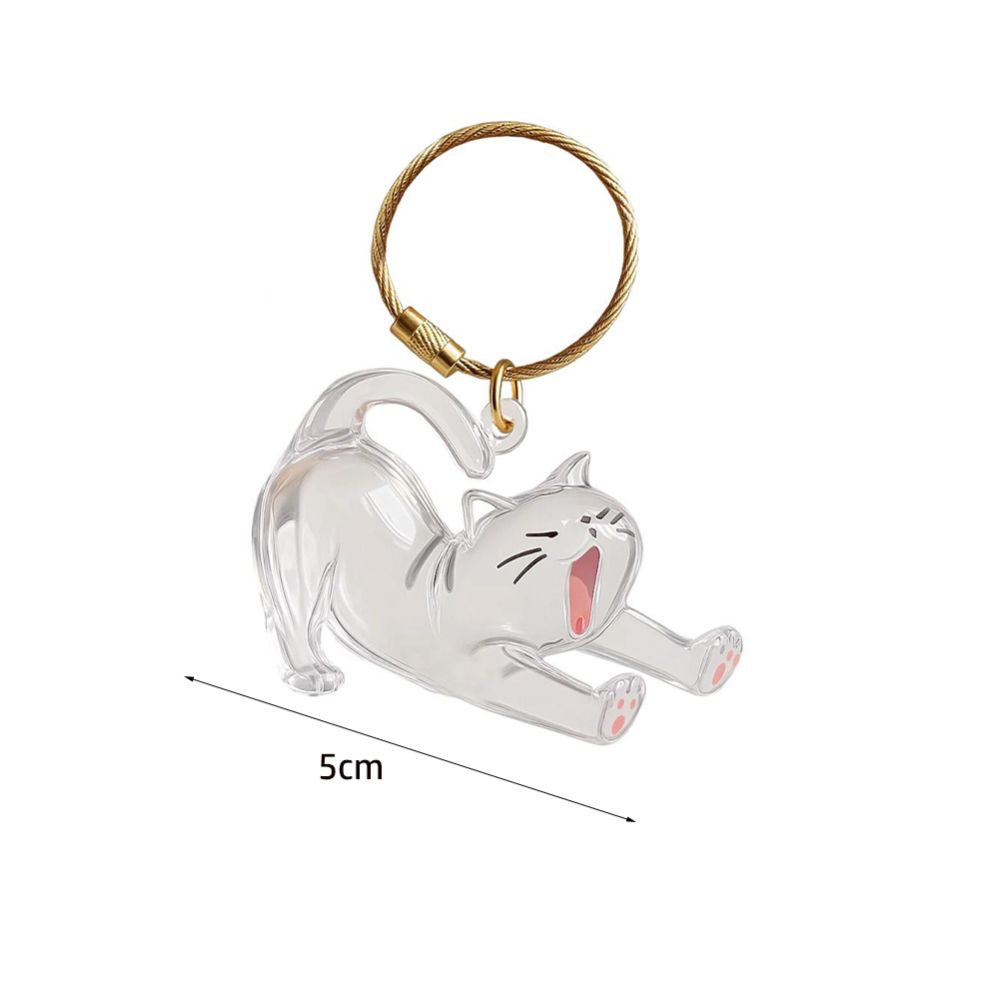 Transparent Cat Hair Storage Keychain Cute Gifts Portable Souvenirs Keychain DIY Decoration Pet Fur Keepsake Capsule