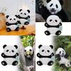 Adorable 8 Inch Panda Plush Toy Ideal For Promotions And Event Giveaways