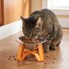 Large Diameter Pet High Footed Bowl Detachable Feeding Bowl Stainless Steel Cat Bowl Indoor Use