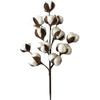 50cm Cotton Stems Decoration 12 Cotton Bolls Cotton Stalks Branch for Home Decor Wedding Centerpiece Farmhouse Decoration