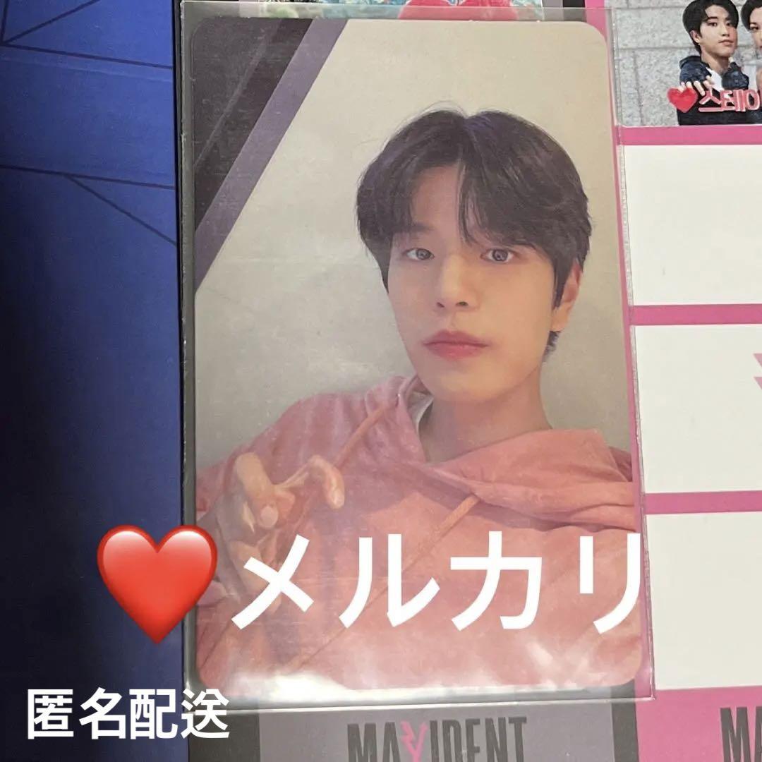 

[USED] Seungmin Maxident Sanok Trading Card