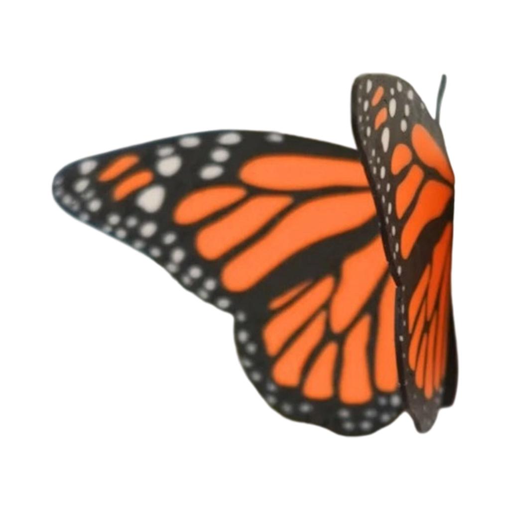 Realistic Butterfly Magnets Decorative Magnetic Art For Refrigerator Door Photo Wall DIY Craft Projects