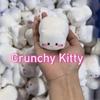 Handentspannung Knusprige Hunde Squishy Süße Katzen Blöcke Gefülltes Squishy Knirschendes Quetschen Schülerpreis