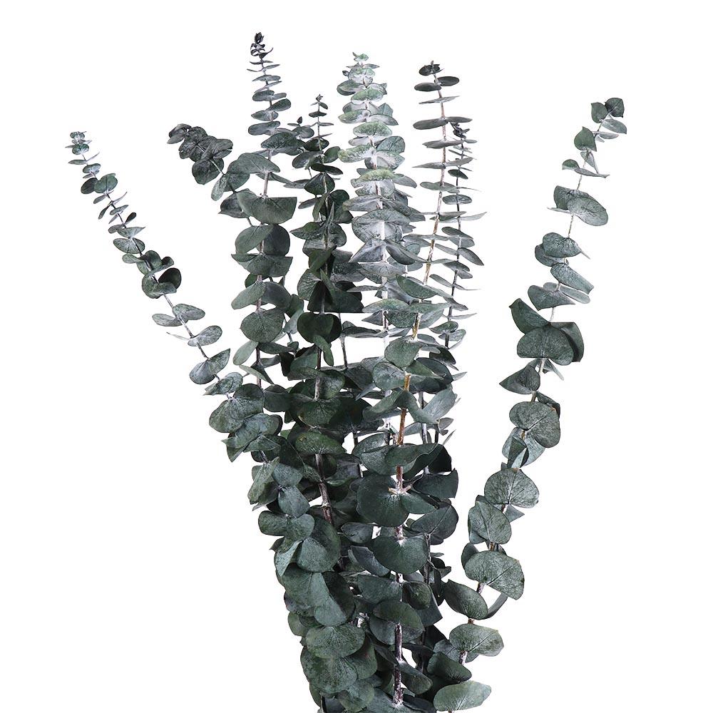 10 Pcs Real Leaves Hanging Dried Eucalyptus 22 inch Green Artificial Plants Flowers Made From Fresh Eucalyptus Large