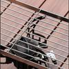 Corrosion Resistant Stainless Steel Portable Grills and Fire Pit Furnaces Bracket Grills for Enthusiasts and Hiking Use