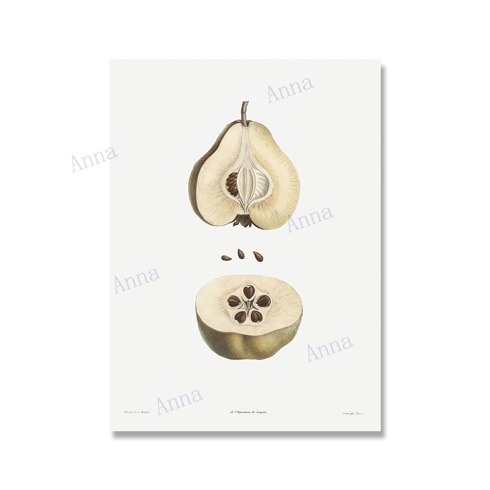 

Ретро Квіти Ілюстрація Настінне Мистецтво Плакат Ботанічний Картина На Полотні Плакат Друк Настінне Художнє Картина для Декору Настін Вітальні 30x40cm No Framed