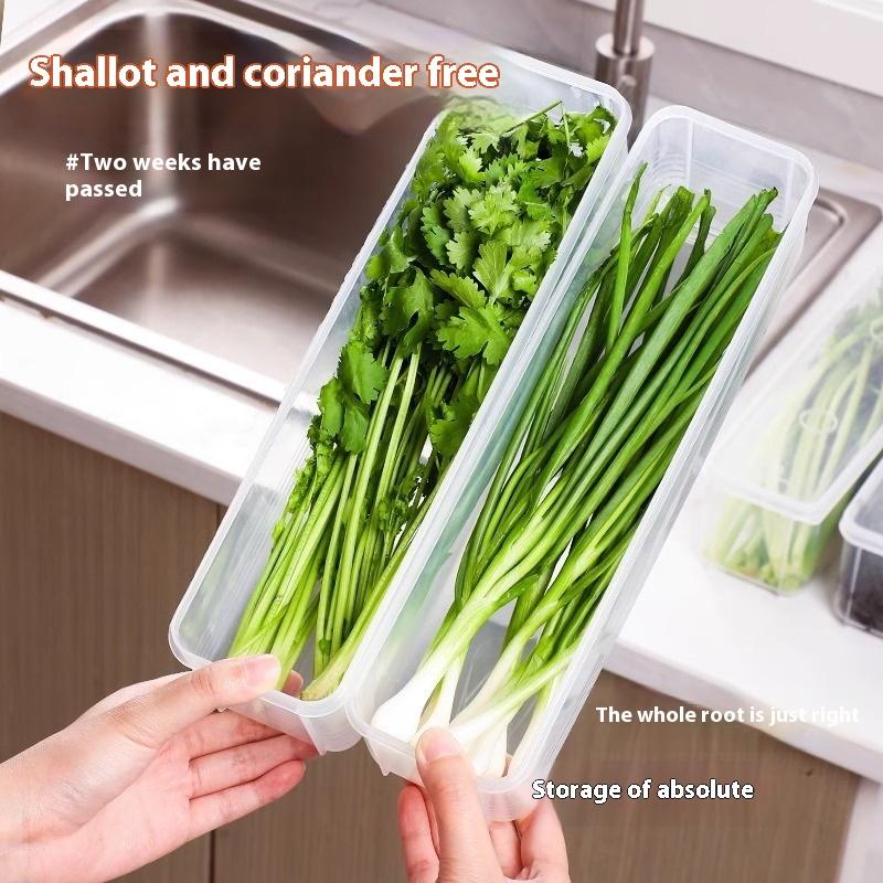 1/4Pcs Long Rectangular Food Storage Containers Plastic Reusable Refrigerator Organizer Boxes Kitchen Accessories