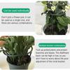 6pcs Plant Support Ring Metal Half Round Plant Stakes For Flowers Vegetables Indoor Leaf Plants