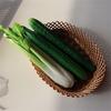 Authentic Vegetable Props Hotel Pastoral Photography Artificial Eggplant Ornament Perfect for Photography and Decoration