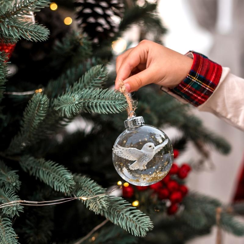 Artistic Nature Bird Clear Christmas Ball Ornament Holiday Decorations For Festives Tree Decoration Memorables Gift