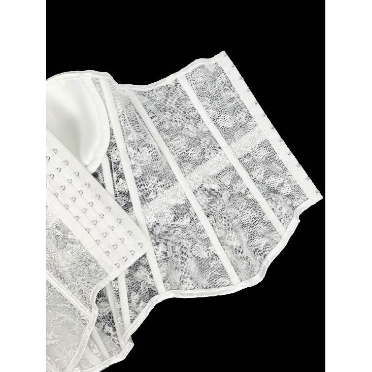 Corsets, roupas femininas elegantes e da moda