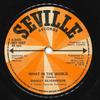7-Zoll-Schallplatte DOOLEY SILVERSPOON What In The World SEV1023 Seville Records 1976 UK SoulFunk Gebraucht