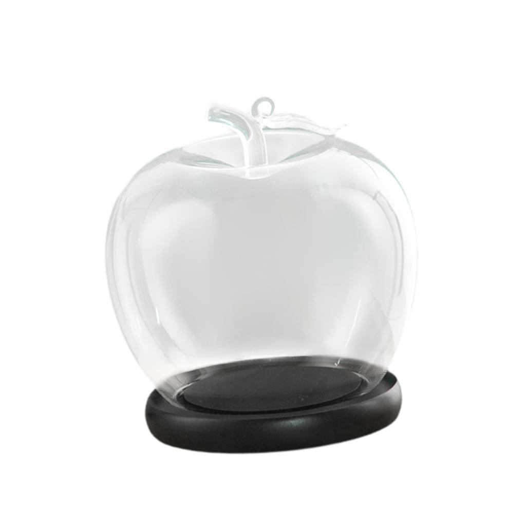 Glass Display Dome Clock with Wooden Base Plant Glass Container Jar Everlasting Lid Christmas Decoration Stand for Crafts Roses