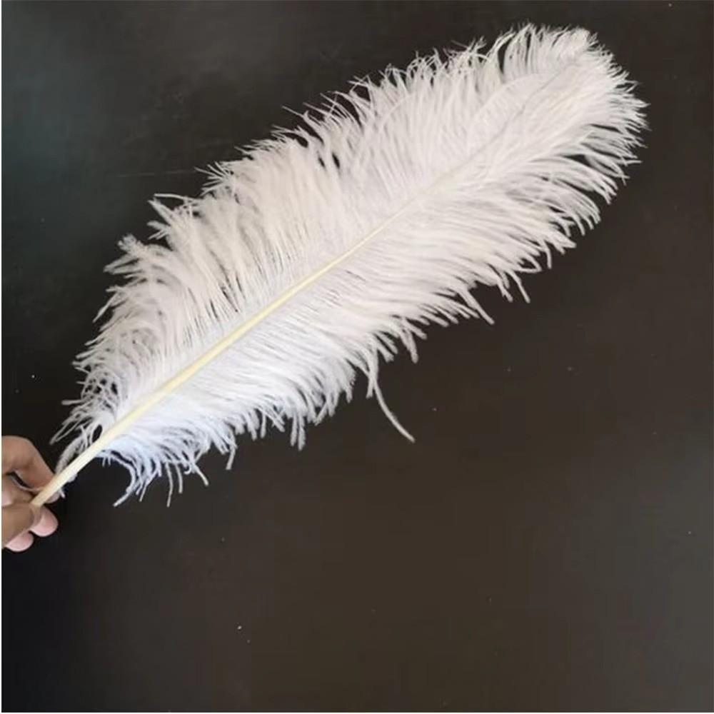 10Pcs Stage Props Ostrich Feathers 15-20cm Colored Ostrich Feathers  Home Decoration