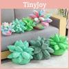 Cozy Plush Succulent Plant Stuff Toys Pillow For Adorable Home Decor And Gifts