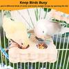 Pet Bird Parrot Wood Foraging Platform Stand Rack Triangle/Square Chewing Bites Intelligence Feeders Natural Stand For Parrots