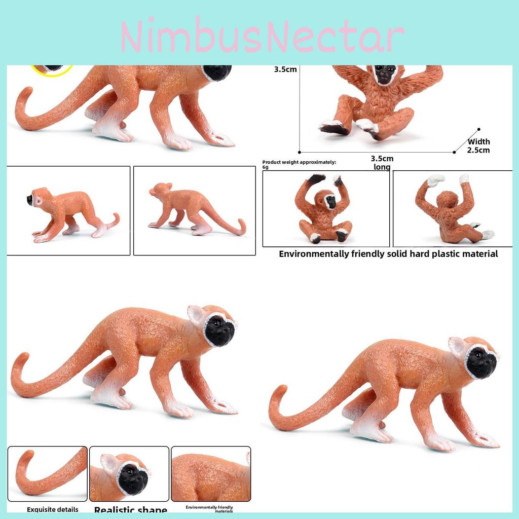 Saimiri Sciureus Monkey Static Animal Model For Educational Display And Toys