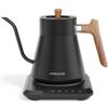 HAGOOGI Electric Kettle (2024 Limited Edition) Coffee Drip Kettle, Temperature Adjustment