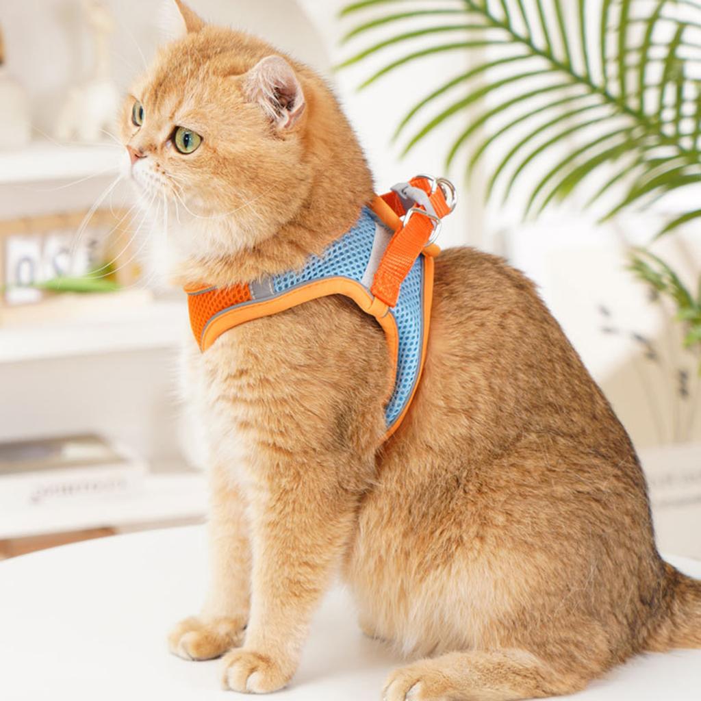 Reflective Pet Harness Vest Escape-Proof Pet Safety Harness for Visibility During Evening Walks