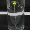 Est 1Pcs Hook Fishing Bait Cage Four Hook Carbon Steel Line Group Feeder Sinker Float Sharp Fishing Spring Bait Cage Tools