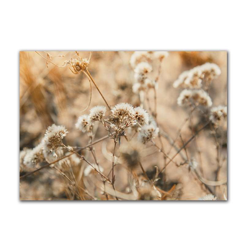 

Пейзаж, трава, осенний пейзаж, принты, художественная картина на холсте, дикие растения, природа, украшение комнаты, картина, настенный постер FJ031 21x30cm no frame