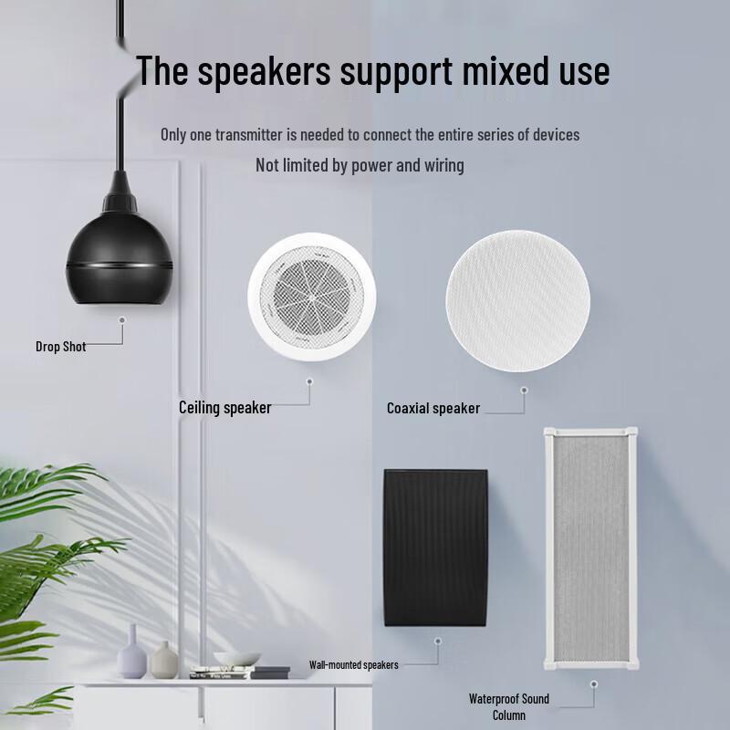 Newmine D7 Wireless FM Ceiling Speaker System (CN version)