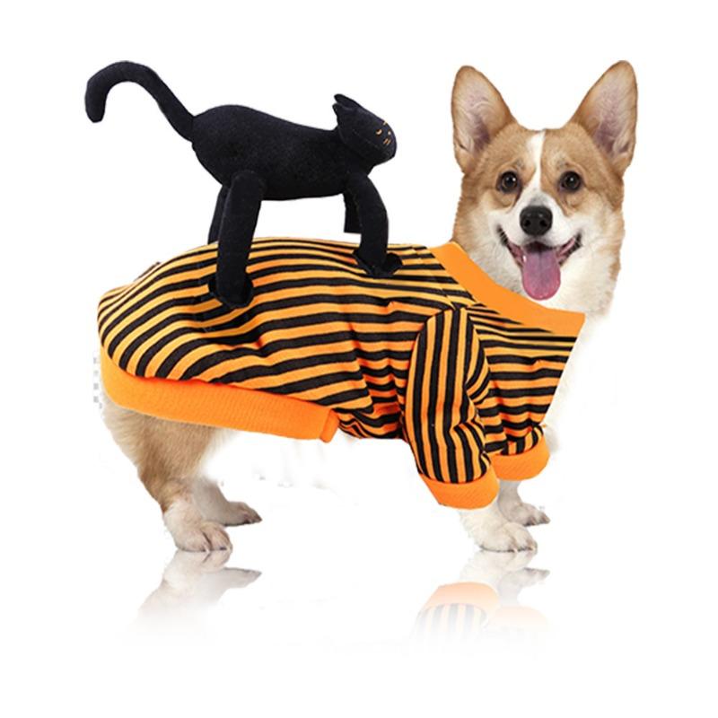 Halloween Pet Cat and Dog Supplies, Standing Black Cat Clothes, Funny Teddy Bichon Frise