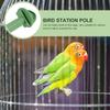 20 Stück Sittich Sittich Vogelkäfig Pole Rod Spielzeug Schleifen Klaue Käfig Papagei Heimtierbedarf Kunststoff Barsch Spiel steht Stick