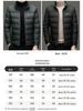 Romon Men's 2025 Stand-Up Collar Down Jacket - High-End, Versatile Business Casual Coat for Spring & Autumn.