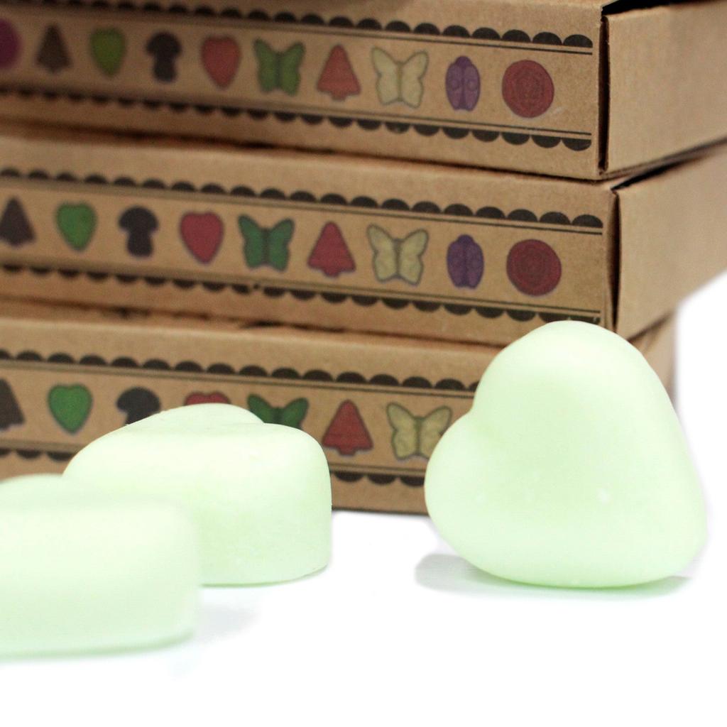 Watermelon Fresh Wax Melts Box