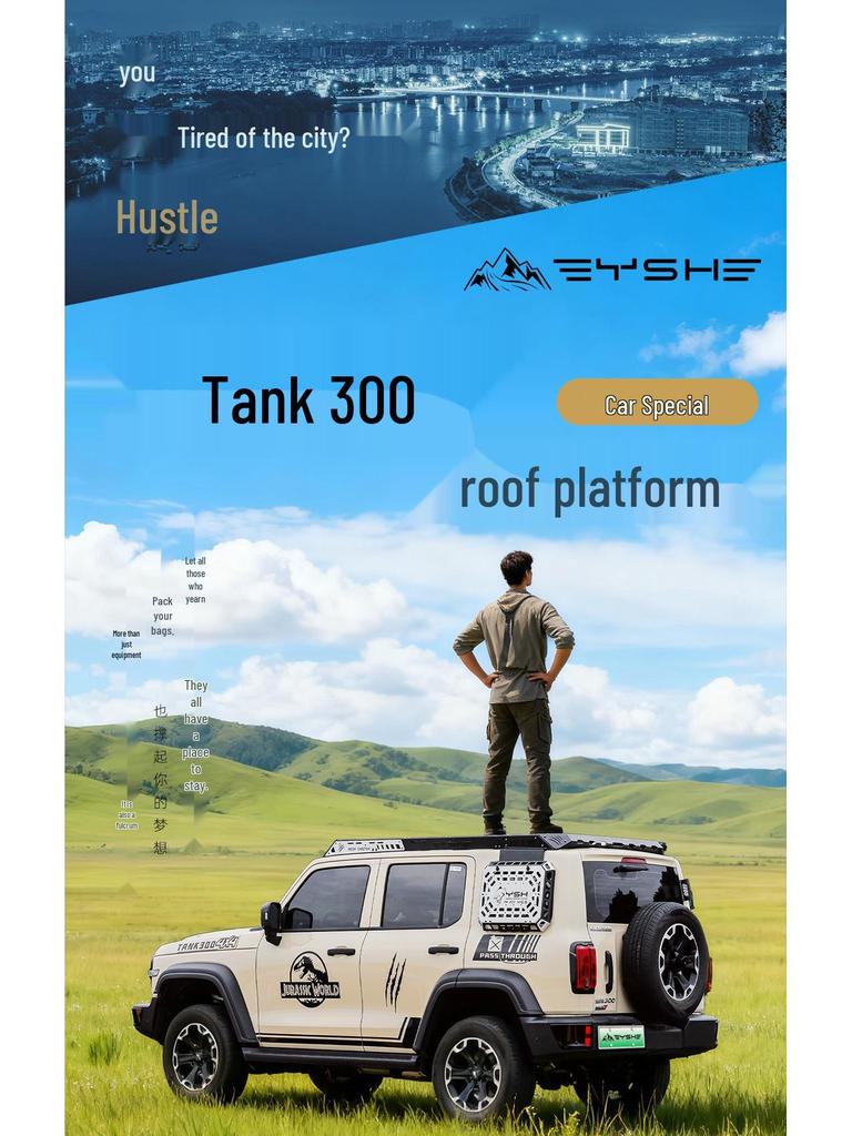 Tank 300 Black Panther Roof Rack Expansion Platform with Side Ladder & Mech Backpack