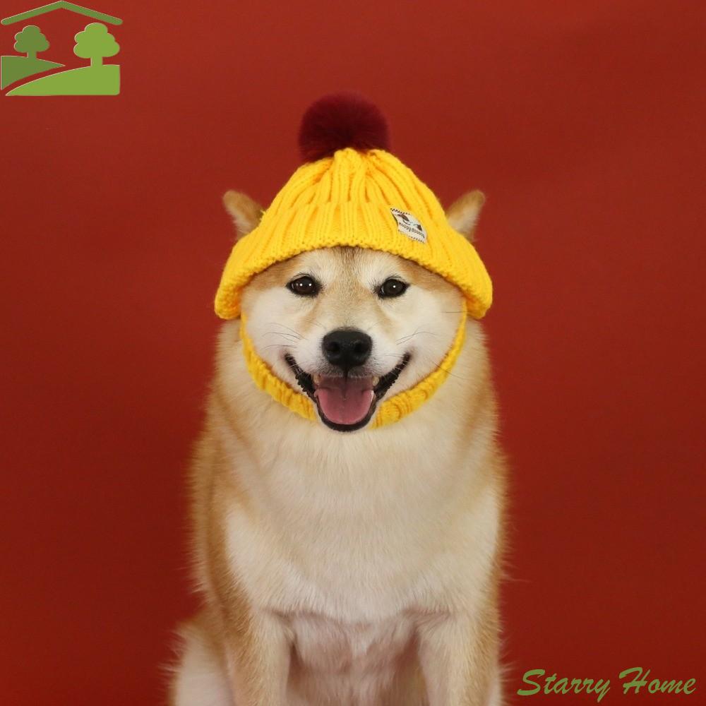 Pet Accessory Warm Knitted Dog Hat Windproof Ear Exposed Pet Cap Hand-knitted Winter Pet Dress Up for Cats Puppy