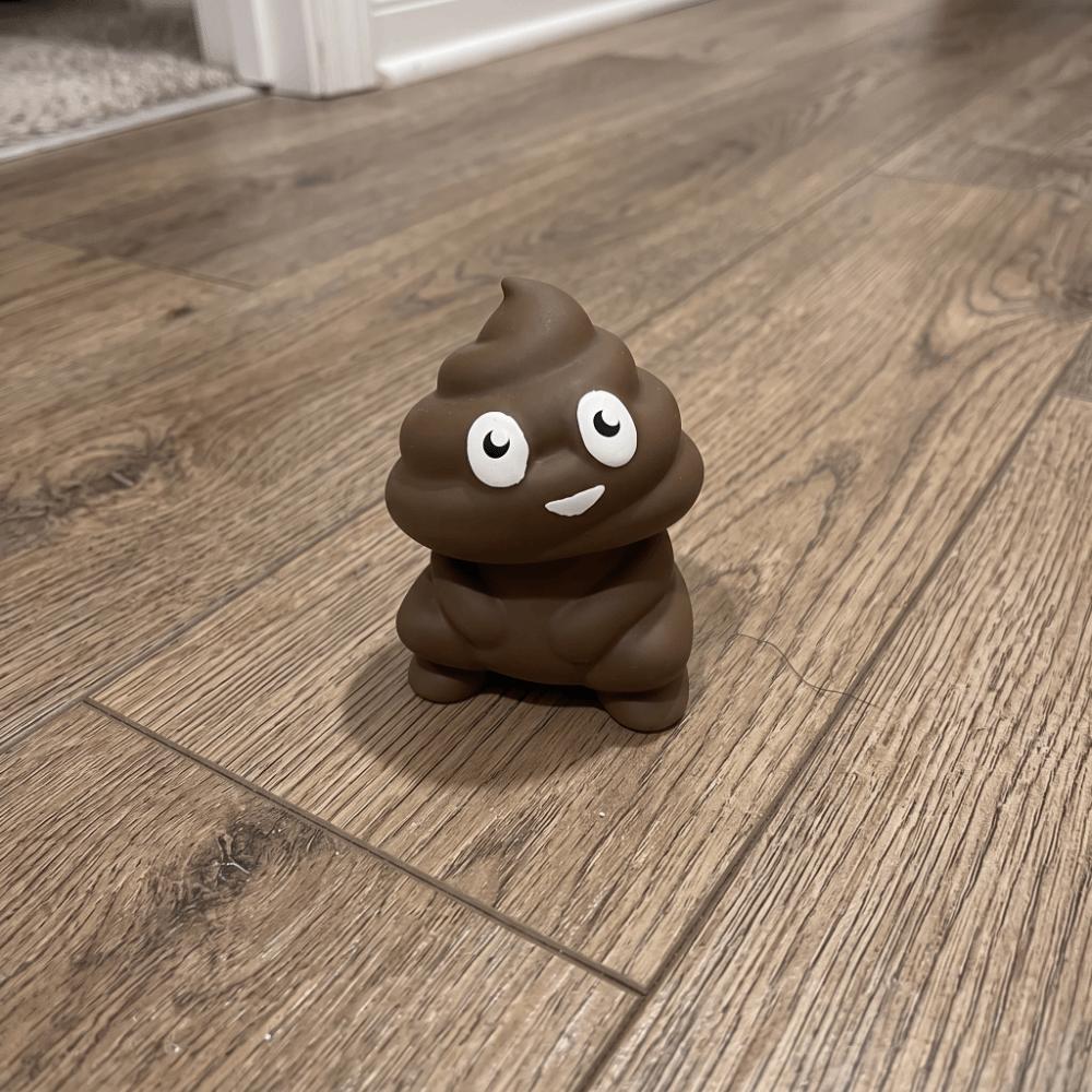Realistic Poop Squeeze Toys Moldable Poop Pinch Toys Quirky Toys Poop Squishy Toys  Hand Relax