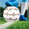 Lokomotiv Moscow Theme Size 5 Match Soccer Ball Professional Outdoor Football Soft Touch Training Ball