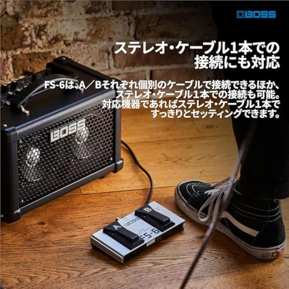 BOSS Boss Dual Footswitch FS-6 Guitar Bass Amp Effector Latch, Momentary Toggle Small