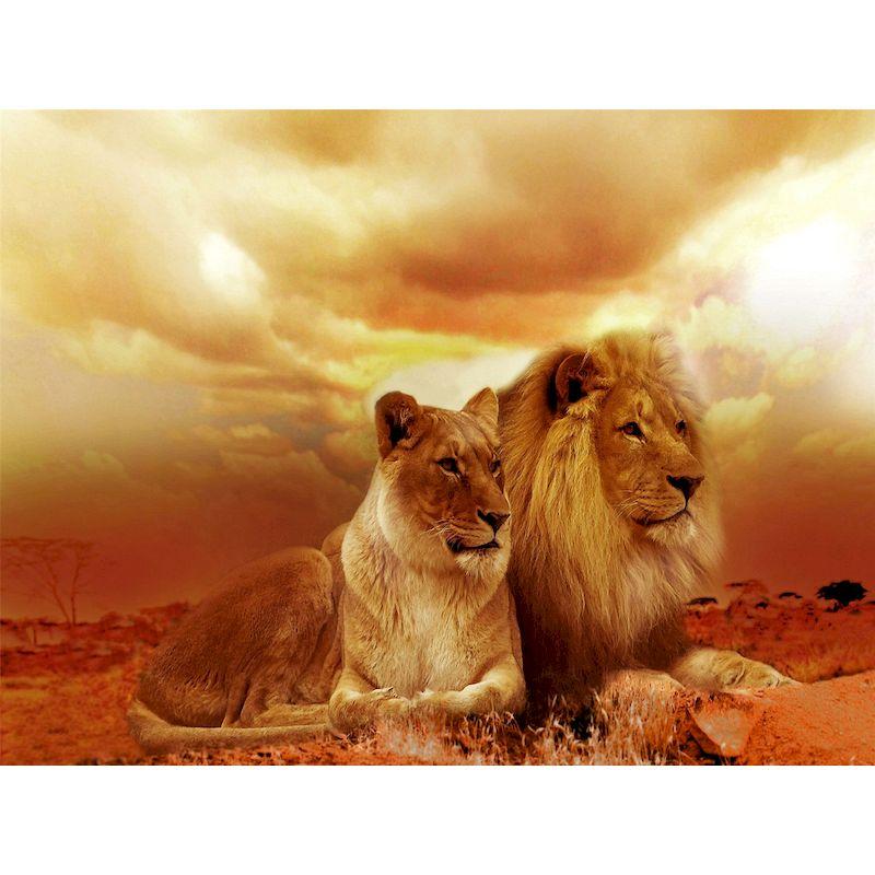 5D diamantová malba Lion Tiger Plné Kulaté Diamantové vyšívání Zvířátka Diy Barevný křížkový steh z kamínků Mozaika Umění