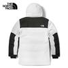 The North Face Men's Waterproof Insulated Down Parka 4U81