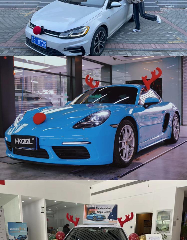 Vánoční dekorace - sobí parohy