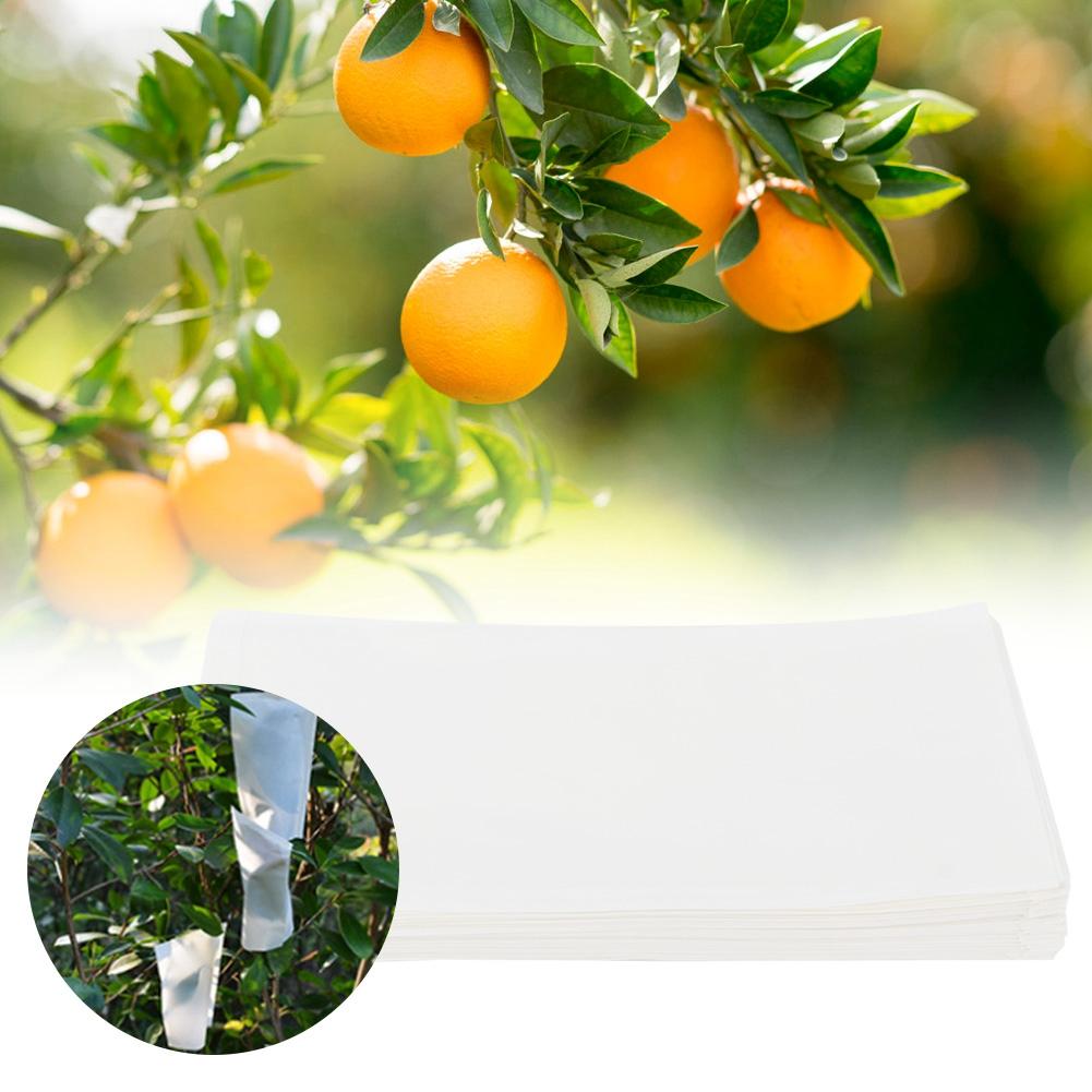 

Конверт из пергамента для семян, сумка для хранения семян для домашнего сада (50шт 30x17см)