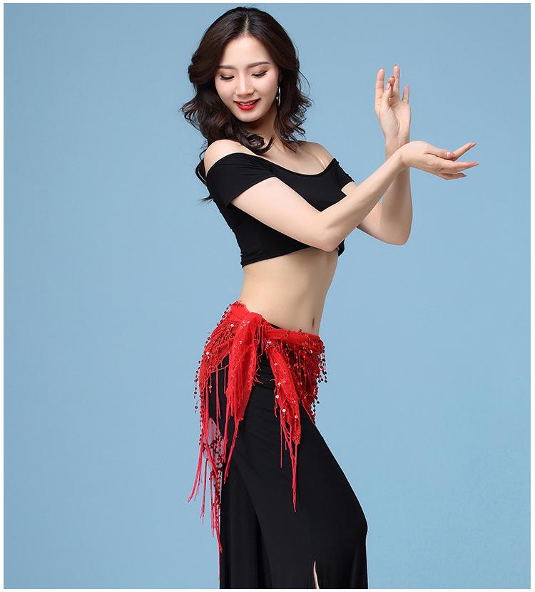Belly Dance Sequin Tassel Waist & Hip Scarf Costume Belt