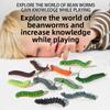 12pcs Insect Models Caterpillar Prank Animal Models Crawling Insects Action Characters Children's Educational Toys Prank Toys